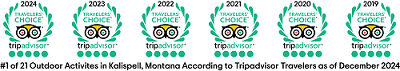 Tripadvisor Series Badges